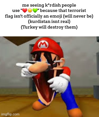 note1: joke. note2: kurdish isn't an actual race, its an ethnic group, so this isnt racist. | me seeing k*rdish people use "❤☀💚" because that terrorist flag isn't officially an emoji (will never be)
(kurdistan isnt real)
(Turkey will destroy them) | image tagged in mario laughing | made w/ Imgflip meme maker