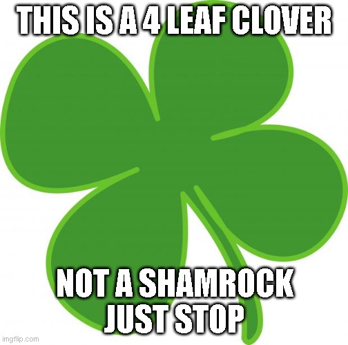 Irish  | THIS IS A 4 LEAF CLOVER; NOT A SHAMROCK
JUST STOP | image tagged in irish | made w/ Imgflip meme maker