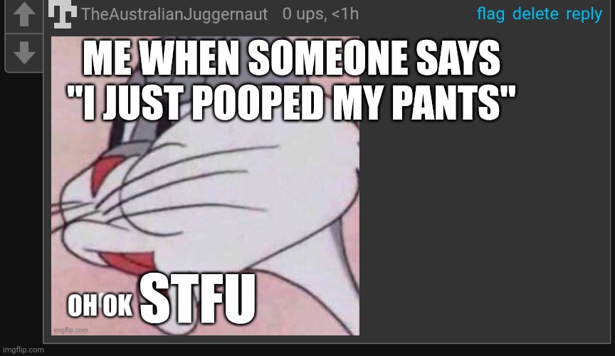 Why they do dat do | ME WHEN SOMEONE SAYS "I JUST POOPED MY PANTS"; STFU | image tagged in theaustralianjuggernaut oh ok | made w/ Imgflip meme maker