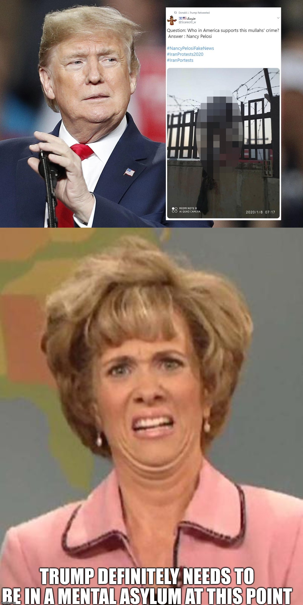 Trump REALLY needs to get a reality check at this point | TRUMP DEFINITELY NEEDS TO BE IN A MENTAL ASYLUM AT THIS POINT | image tagged in disgusted kristin wiig | made w/ Imgflip meme maker