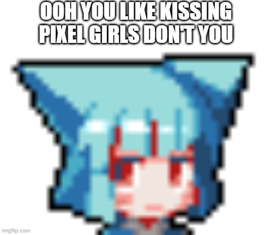 OOH YOU LIKE KISSING PIXEL GIRLS DON'T YOU | made w/ Imgflip meme maker