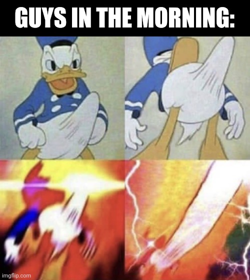 Donald Duck erection | GUYS IN THE MORNING: | image tagged in donald duck erection | made w/ Imgflip meme maker