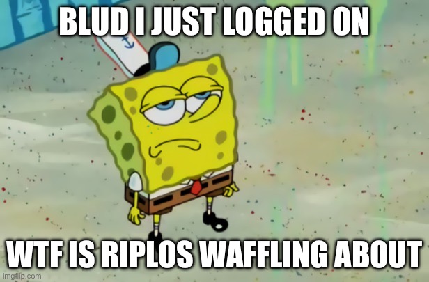 SpongeBob not scared | BLUD I JUST LOGGED ON; WTF IS RIPLOS WAFFLING ABOUT | image tagged in spongebob not scared | made w/ Imgflip meme maker