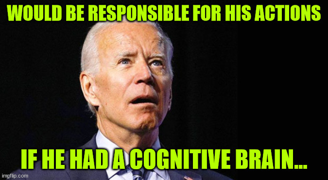 Confused joe biden | WOULD BE RESPONSIBLE FOR HIS ACTIONS IF HE HAD A COGNITIVE BRAIN... | image tagged in confused joe biden | made w/ Imgflip meme maker