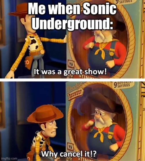 It was a great show! Why cancel it!? | Me when Sonic Underground: | image tagged in it was a great show why cancel it | made w/ Imgflip meme maker