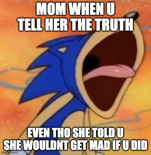 sonic scream | MOM WHEN U TELL HER THE TRUTH; EVEN THO SHE TOLD U SHE WOULDNT GET MAD IF U DID | image tagged in sonic scream | made w/ Imgflip meme maker