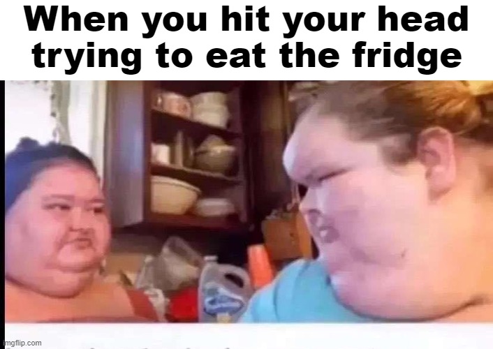 When you hit your head trying to eat the fridge | image tagged in funny | made w/ Imgflip meme maker