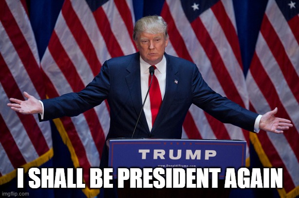 Donald Trump | I SHALL BE PRESIDENT AGAIN | image tagged in donald trump | made w/ Imgflip meme maker