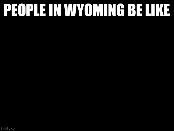 Do you get it? | PEOPLE IN WYOMING BE LIKE | made w/ Imgflip meme maker