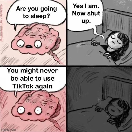Nothing of value will be lost | image tagged in are you going to sleep,memes,funny,tiktok,true | made w/ Imgflip meme maker