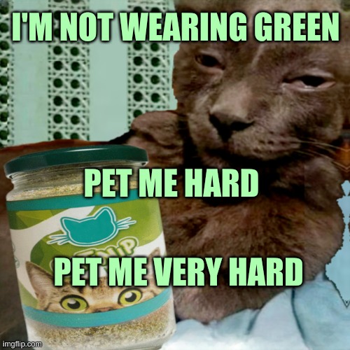 Shit Poster 4 Lyfe | I'M NOT WEARING GREEN; PET ME HARD; PET ME VERY HARD | image tagged in shit poster 4 lyfe,st patrick's day,green,pet me hard,hard,what if i told you | made w/ Imgflip meme maker