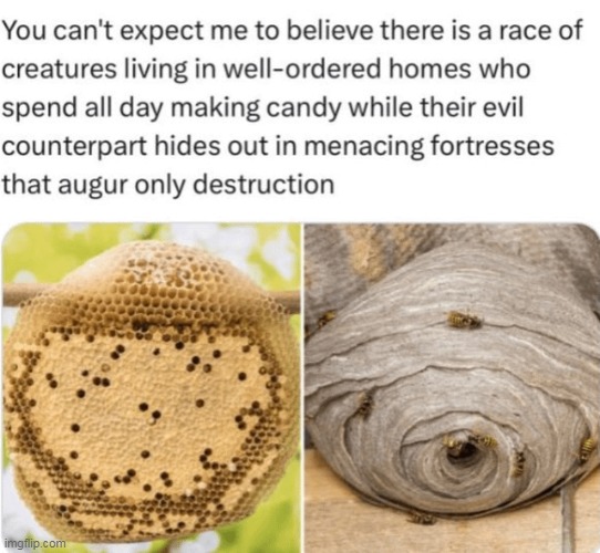 bee lore | image tagged in memes,funny,bees,animals | made w/ Imgflip meme maker