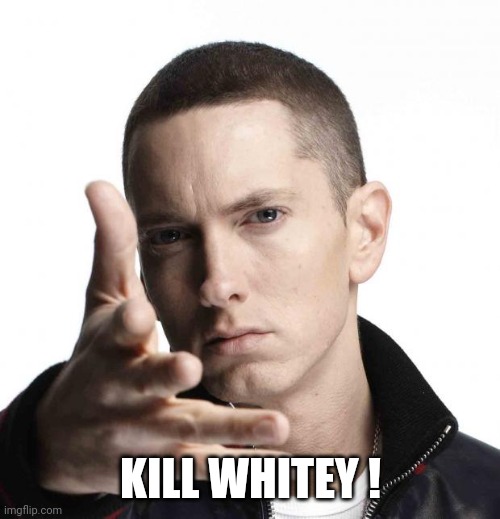 Eminem video game logic | KILL WHITEY ! | image tagged in eminem video game logic | made w/ Imgflip meme maker