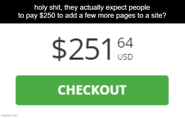 holy shit, they actually expect people to pay $250 to add a few more pages to a site? | made w/ Imgflip meme maker