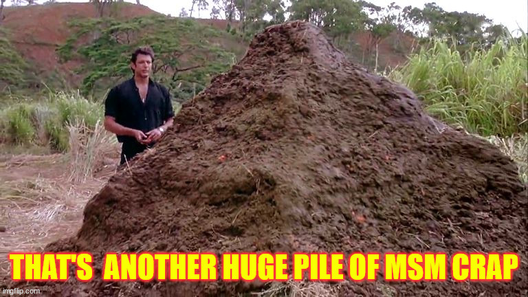 Big pile of bullshit | THAT'S  ANOTHER HUGE PILE OF MSM CRAP | image tagged in big pile of bullshit | made w/ Imgflip meme maker
