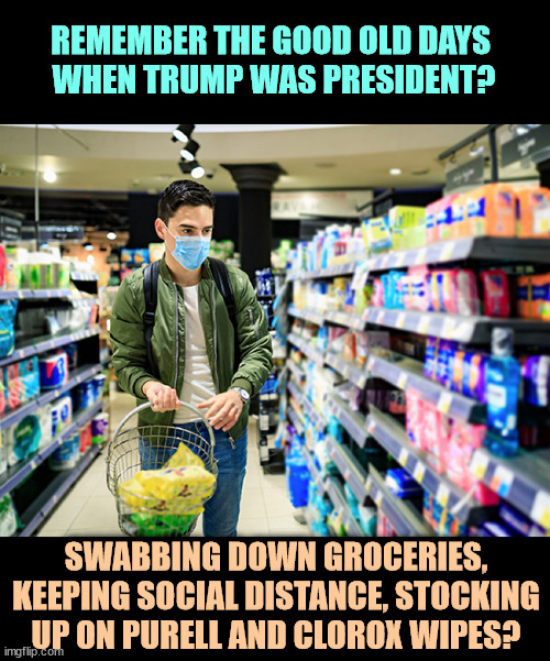 It's tough stockpiling toilet paper while injecting bleach. Thanks, Trump. | REMEMBER THE GOOD OLD DAYS 
WHEN TRUMP WAS PRESIDENT? SWABBING DOWN GROCERIES, KEEPING SOCIAL DISTANCE, STOCKING UP ON PURELL AND CLOROX WIPES? | image tagged in trump,covid-19,incompetence,death,purell,clorox | made w/ Imgflip meme maker