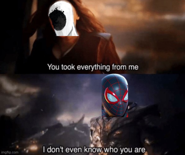 Spider verse basically | image tagged in you took everything from me - i don't even know who you are | made w/ Imgflip meme maker