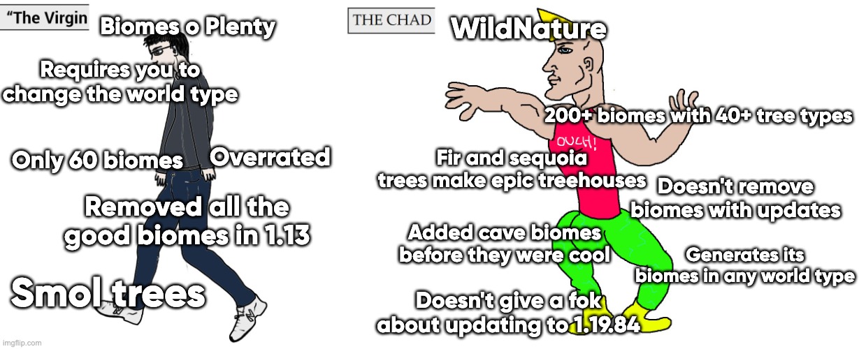Biomes O Plenty vs WildNature | Biomes o Plenty; WildNature; Requires you to change the world type; 200+ biomes with 40+ tree types; Fir and sequoia trees make epic treehouses; Only 60 biomes; Overrated; Doesn't remove biomes with updates; Removed all the good biomes in 1.13; Added cave biomes before they were cool; Generates its biomes in any world type; Smol trees; Doesn't give a fok about updating to 1.19.84 | image tagged in virgin and chad,minecraft | made w/ Imgflip meme maker