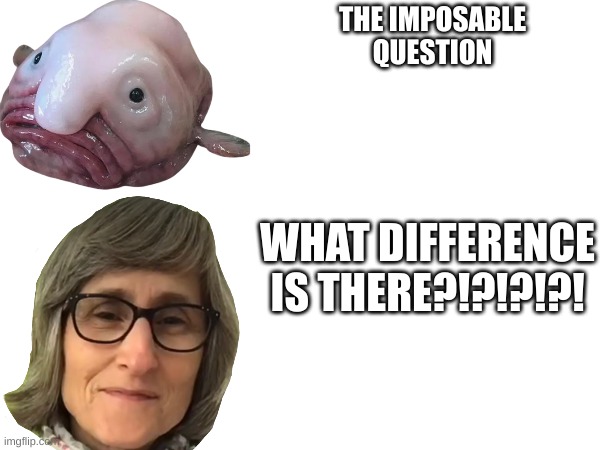 THE IMPOSABLE QUESTION; WHAT DIFFERENCE IS THERE?!?!?!?! | made w/ Imgflip meme maker