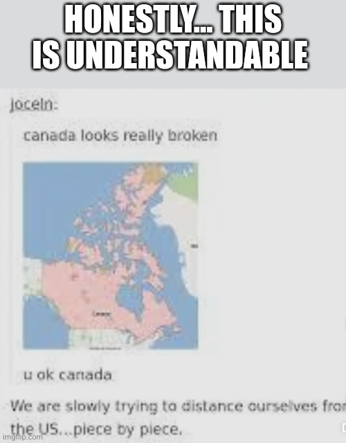 HONESTLY... THIS IS UNDERSTANDABLE | image tagged in bad meme | made w/ Imgflip meme maker