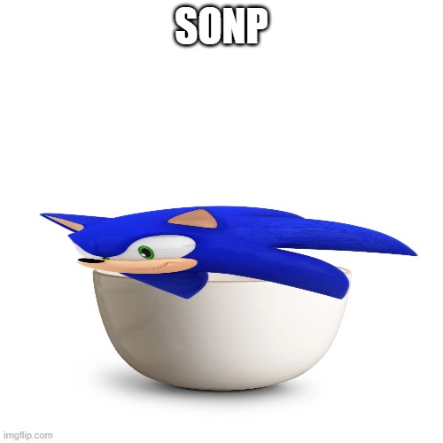 sonp | SONP | image tagged in sonic the hedgehog,soup | made w/ Imgflip meme maker