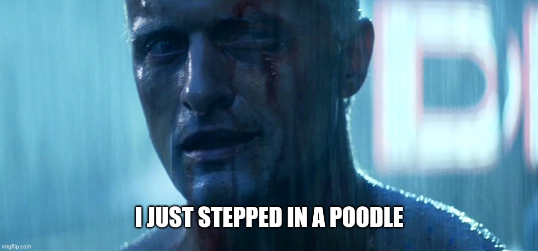 Blade Runner Tears in rain | I JUST STEPPED IN A POODLE | image tagged in blade runner tears in rain | made w/ Imgflip meme maker