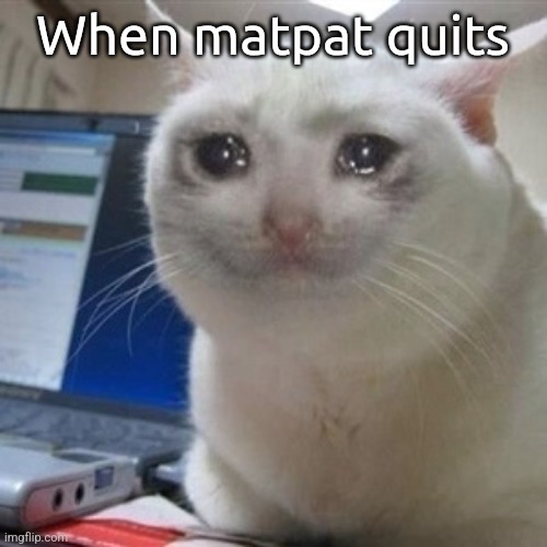 Very sad:( | When matpat quits | image tagged in crying cat,cats,sad | made w/ Imgflip meme maker
