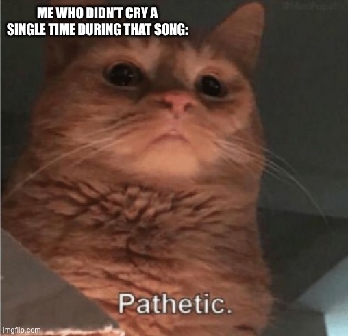 Pathetic Cat | ME WHO DIDN’T CRY A SINGLE TIME DURING THAT SONG: | image tagged in pathetic cat | made w/ Imgflip meme maker