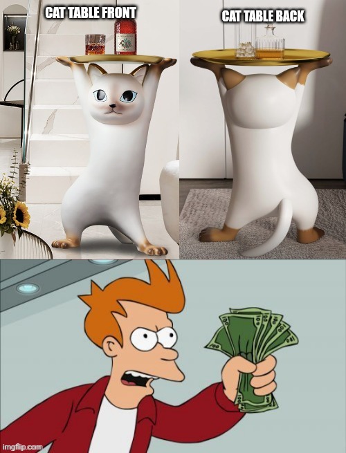 A Cat Table That Nobody Needs | CAT TABLE BACK; CAT TABLE FRONT | image tagged in fry confused then shut up and take my money,stfu and take my money,shut up and take my money,white cat table,memes,love | made w/ Imgflip meme maker