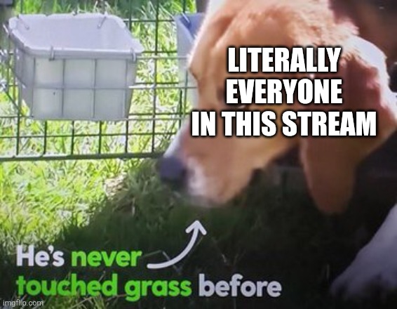 He's never touched grass before | LITERALLY EVERYONE IN THIS STREAM | image tagged in he's never touched grass before | made w/ Imgflip meme maker