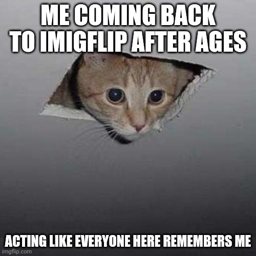 Ceiling Cat | ME COMING BACK TO IMIGFLIP AFTER AGES; ACTING LIKE EVERYONE HERE REMEMBERS ME | image tagged in memes,ceiling cat | made w/ Imgflip meme maker
