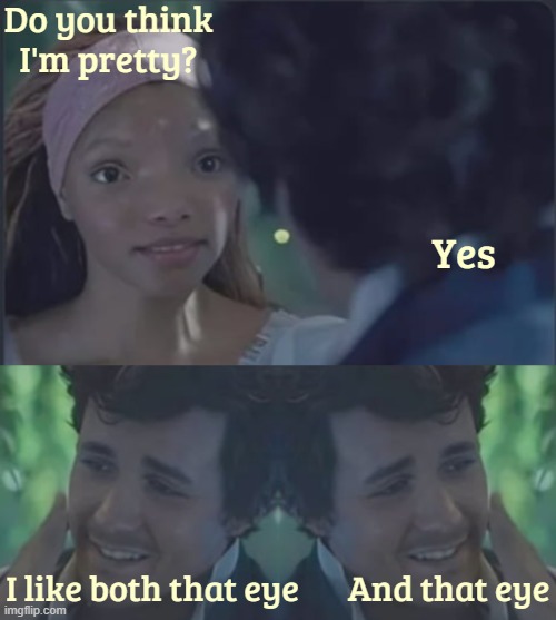 Do you think I'm pretty? Yes; I like both that eye; And that eye | image tagged in the little mermaid,funny | made w/ Imgflip meme maker