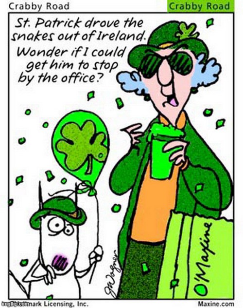 image tagged in st patrick's day,snakes,ireland,office | made w/ Imgflip meme maker