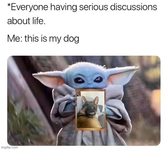 image tagged in discussion,life,dog | made w/ Imgflip meme maker
