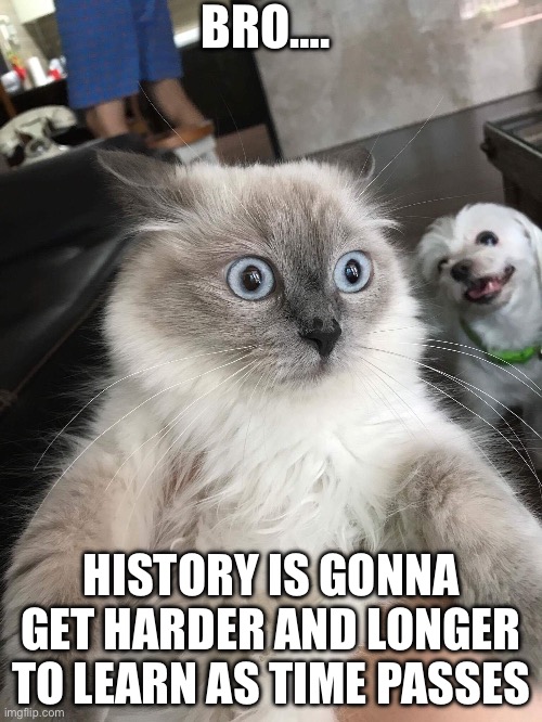 Get it? | BRO…. HISTORY IS GONNA GET HARDER AND LONGER TO LEARN AS TIME PASSES | image tagged in mindblown cat | made w/ Imgflip meme maker