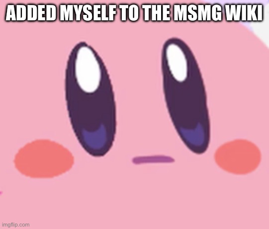 Blank Kirby Face | ADDED MYSELF TO THE MSMG WIKI | image tagged in blank kirby face | made w/ Imgflip meme maker