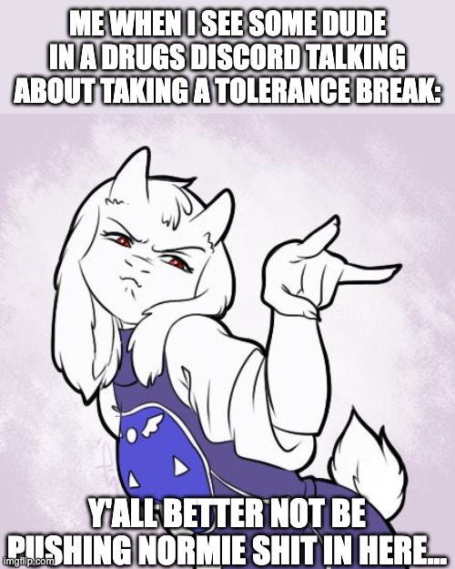 Toriel Stare Reaction Image | ME WHEN I SEE SOME DUDE IN A DRUGS DISCORD TALKING ABOUT TAKING A TOLERANCE BREAK:; Y'ALL BETTER NOT BE PUSHING NORMIE SHIT IN HERE... | image tagged in toriel stare reaction image,normie shit,tolerance break,drug,psychonaut,toriel | made w/ Imgflip meme maker