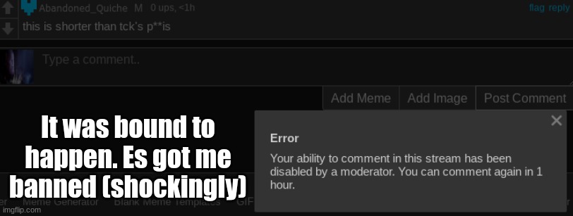 If I'm post banned I swear (I'm post banned) | It was bound to happen. Es got me banned (shockingly) | made w/ Imgflip meme maker