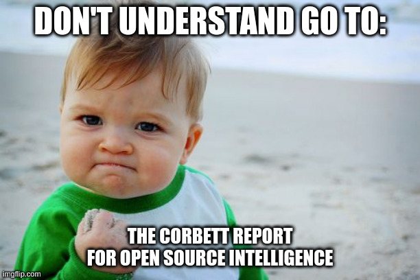 Success Kid Original Meme | DON'T UNDERSTAND GO TO:; THE CORBETT REPORT FOR OPEN SOURCE INTELLIGENCE | image tagged in memes,success kid original | made w/ Imgflip meme maker