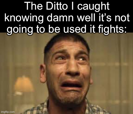 It going to be used for… something else | The Ditto I caught knowing damn well it’s not going to be used it fights: | image tagged in punisher no no no no no | made w/ Imgflip meme maker