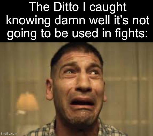 It gonna be used for… something else | The Ditto I caught knowing damn well it’s not going to be used in fights: | image tagged in punisher no no no no no | made w/ Imgflip meme maker