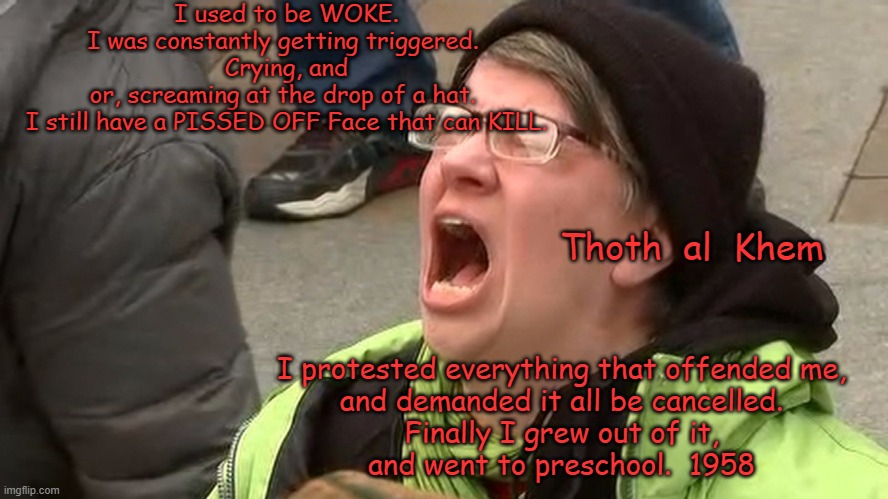 WHAT DOES "WOKE" MEAN? | I used to be WOKE.
I was constantly getting triggered. 
Crying, and or, screaming at the drop of a hat. 
I still have a PISSED OFF Face that can KILL. Thoth  al  Khem; I protested everything that offended me, 
and demanded it all be cancelled. 
Finally I grew out of it, 
and went to preschool.  1958 | image tagged in woke,traitors in usa,media brainwashing,media scum,who owns all media | made w/ Imgflip meme maker