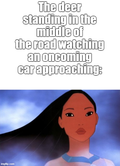 O - O | The deer standing in the middle of the road watching an oncoming car approaching: | image tagged in funny,memes,disney,pocahontas,dark humor,why did i make this | made w/ Imgflip meme maker