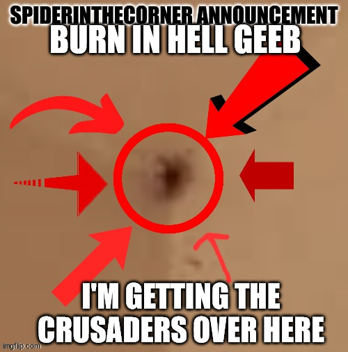 spiderinthecorner announcement | BURN IN HELL GEEB; I'M GETTING THE CRUSADERS OVER HERE | image tagged in spiderinthecorner announcement | made w/ Imgflip meme maker