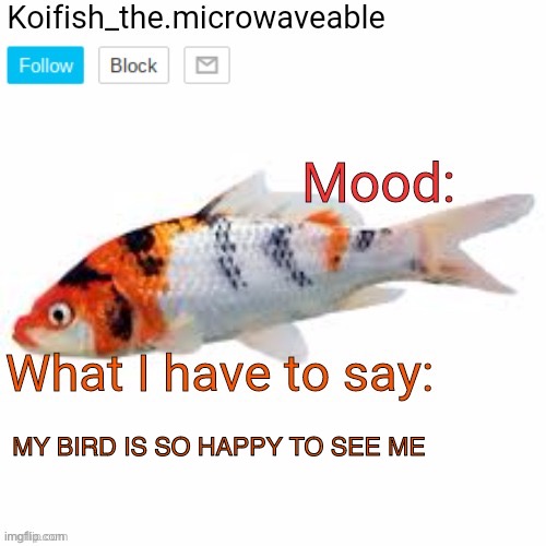 Koifish_the.microwaveable announcement | MY BIRD IS SO HAPPY TO SEE ME | image tagged in koifish_the microwaveable announcement | made w/ Imgflip meme maker