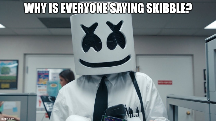 WHY IS EVERYONE SAYING SKIBBLE? | image tagged in m | made w/ Imgflip meme maker