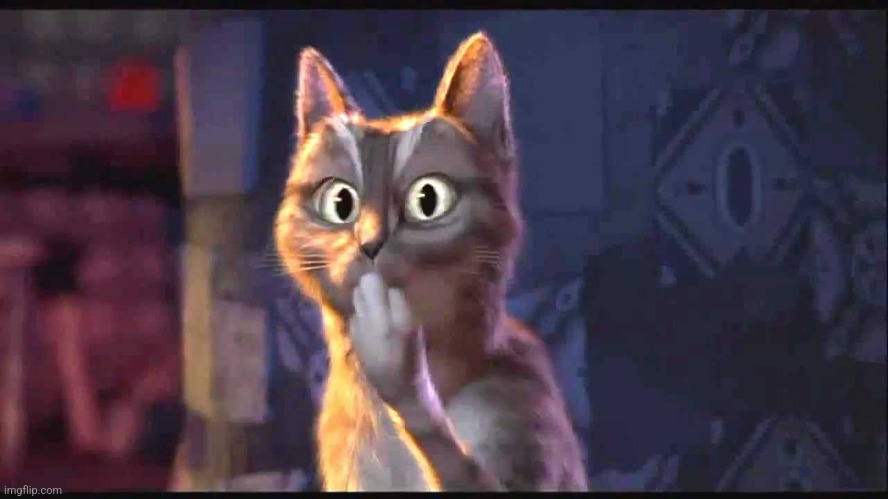 Ooh Cat | image tagged in ooh cat | made w/ Imgflip meme maker