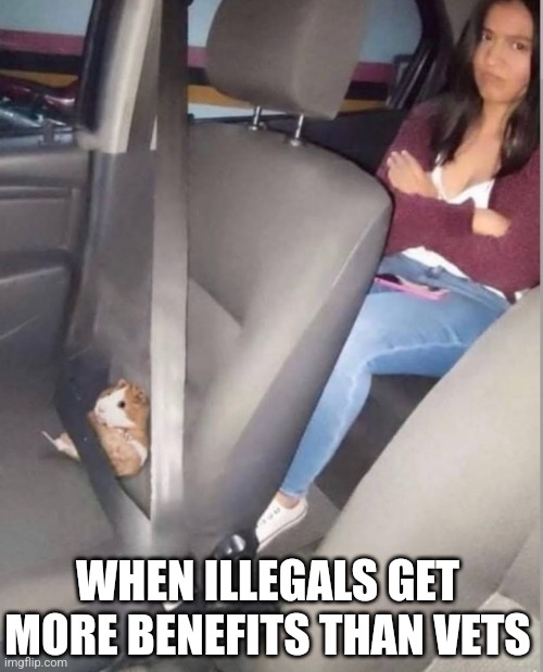 WHEN ILLEGALS GET MORE BENEFITS THAN VETS | image tagged in politics,funny memes | made w/ Imgflip meme maker