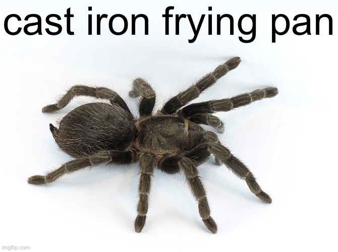 cast iron frying pan | cast iron frying pan | image tagged in tarantula,spider,meme,random,nonsense,cast iron frying pan | made w/ Imgflip meme maker
