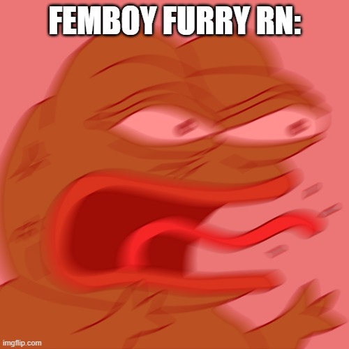 bro needs to chill | FEMBOY FURRY RN: | image tagged in memes | made w/ Imgflip meme maker